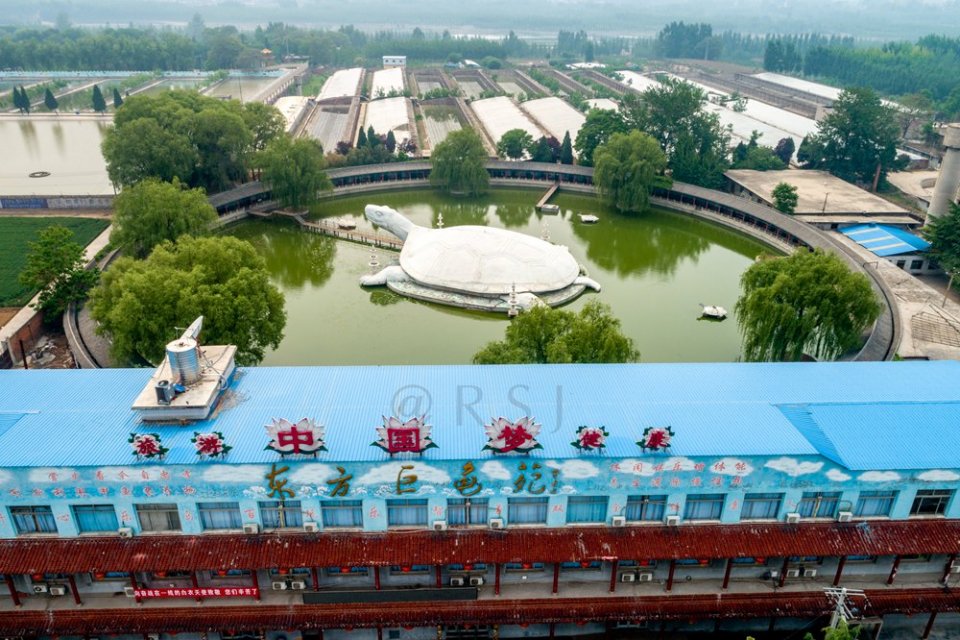 农民养鳖致富,投资2.5亿元建东方巨龟苑景区,龟眼睛一只重1.5吨