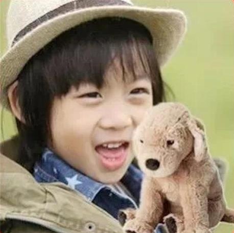 之前在节目中,林志颖就多次透露,这只小黄狗可是kimi哥哥的心头好