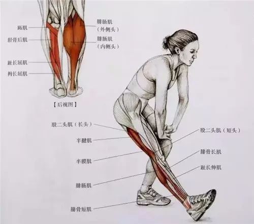 新手跑步时应该注意什么?几个误区,告诉你问题所在