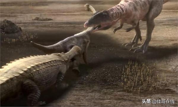 刃齿虎,又名美洲剑齿虎或斯剑虎,大约生存在距今3百万至1万年前的北