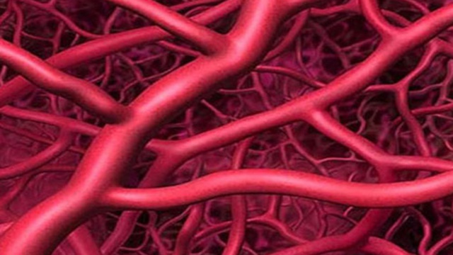 人过45岁以后,6样食物要多吃,帮你软化血管,血管通畅又干净