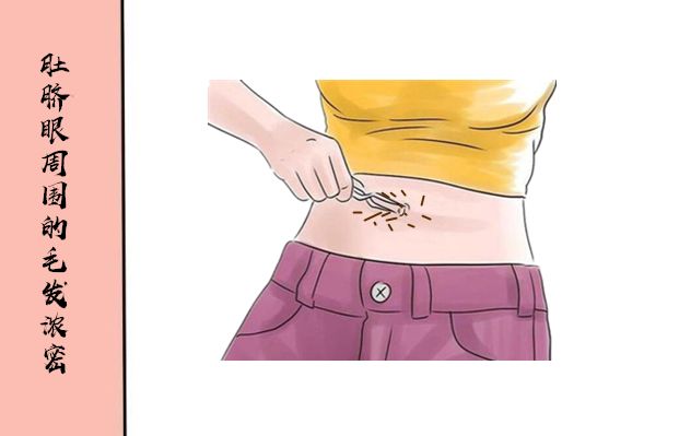 肚脐眼周围的毛发浓密在肚脐眼周围的毛发长得比较浓密,则这样的人
