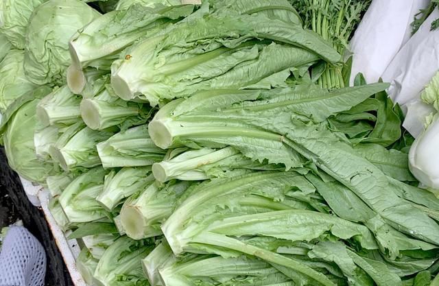 去市场买菜 这4种反季节青菜尽量不买 全是大棚 去市场买菜 这4种反季节青菜尽量不买 全是大棚