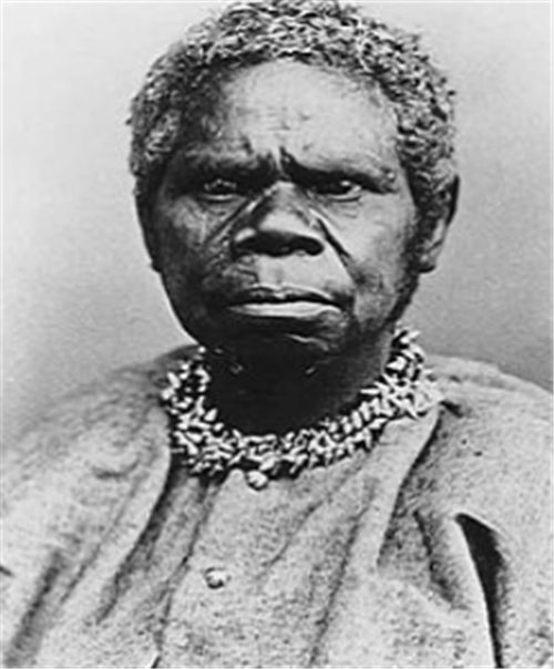 楚格尼尼对此感到恐慌不已,1873年楚格尼尼搬到了霍巴特.