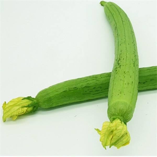 老广爱吃的"水瓜"竟如此美味