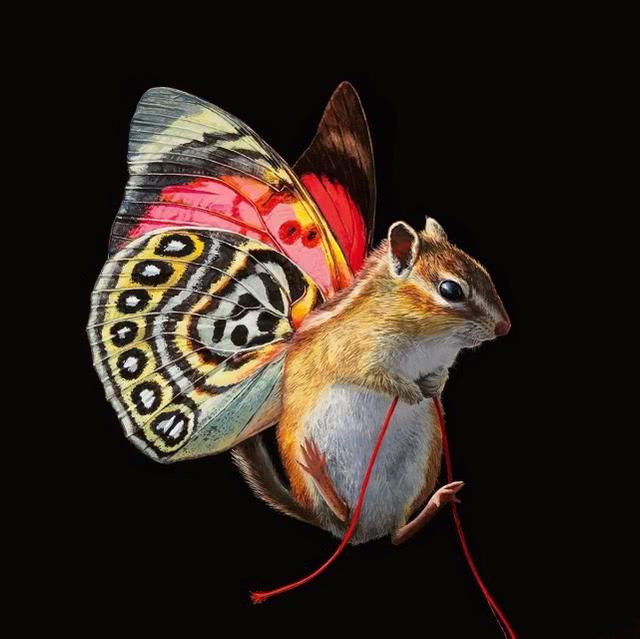 她画了一只会飞的松鼠,看到翅膀后,网友醉了:不可思议