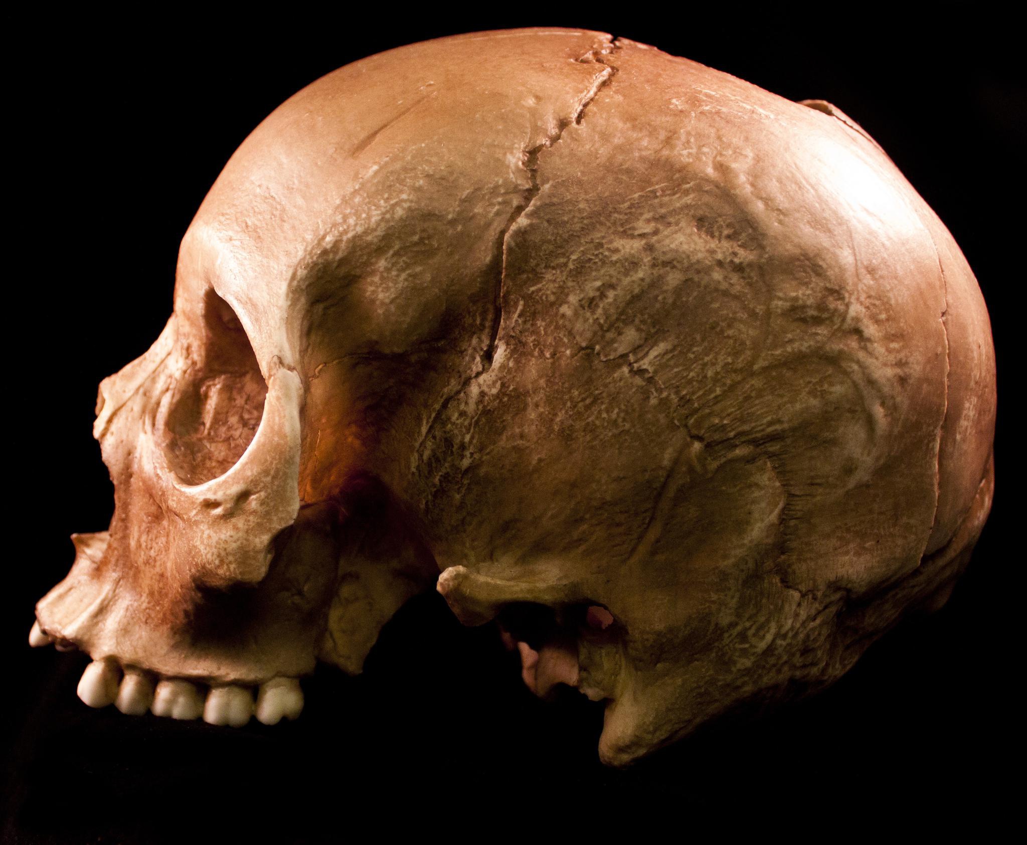 科学家发现一个头骨距今30万年会是人类祖先吗