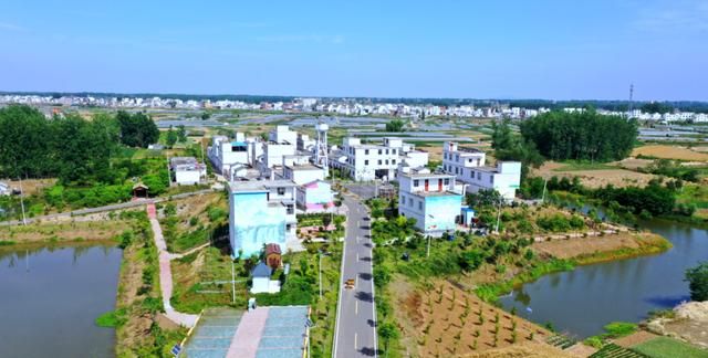 走进庄台之王家坝镇郎楼庄台