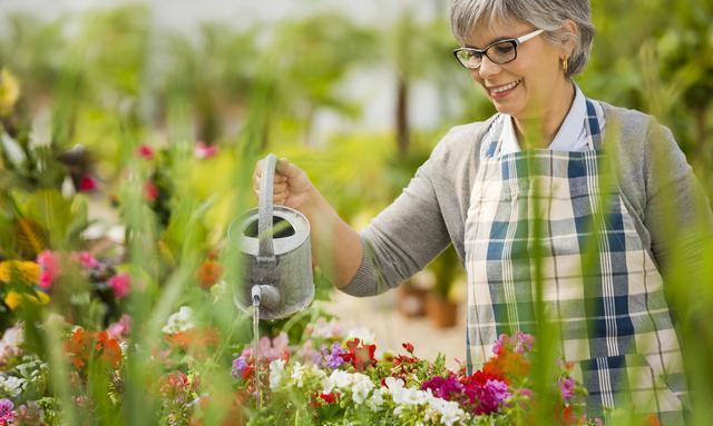 老年人要把花养好,做好这3点才是关键,家里有老人的赶紧学起来