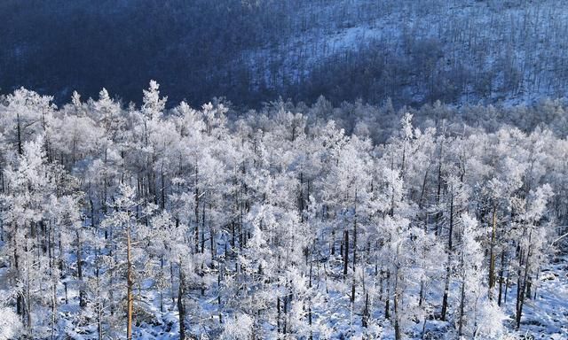 大雪纷飞孤独的白居易,写下平生凄美之作,无一字不伤感|白居易|雪景