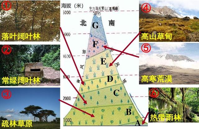 陆地自然带的"山地垂直分异",是不是和"纬度地带分异"一样?