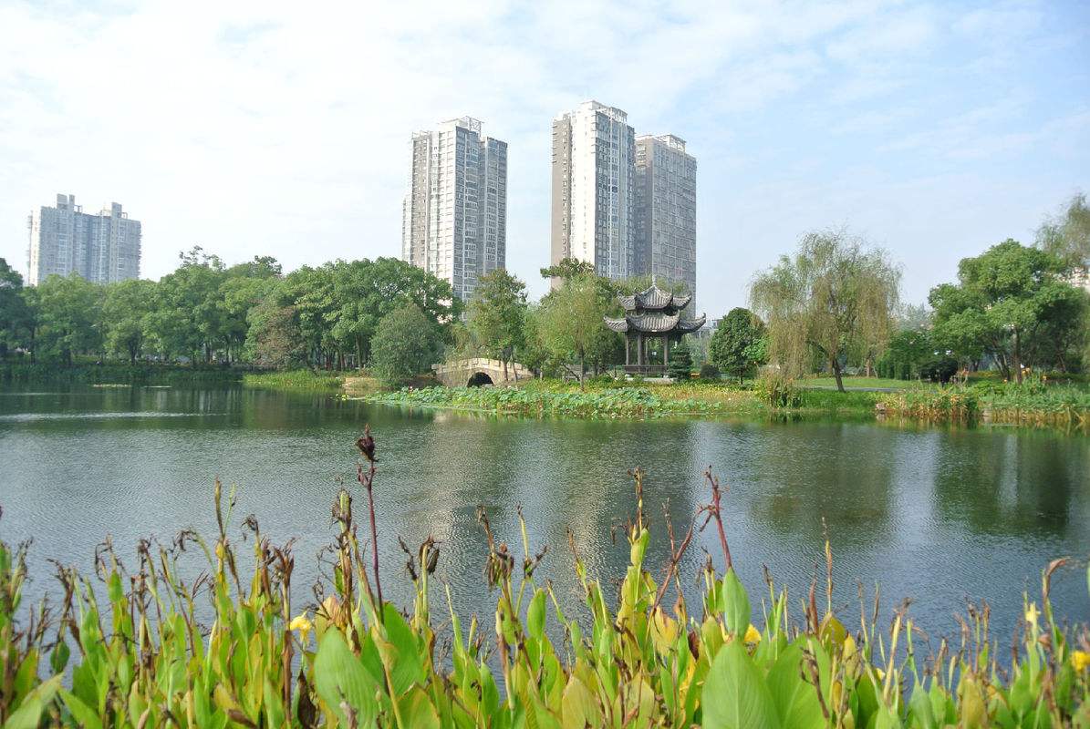 津市,澧县合并设市怎么没动静了?