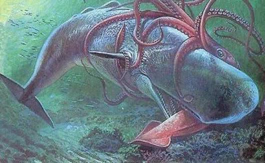 但科学家还原一种海洋生物,甚至以沧龙为食|托斯特|乌贼|龙_新浪新闻