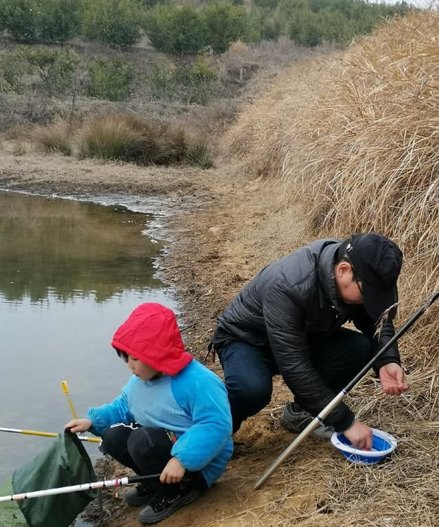 宅家唯有钓鱼;山顶草塘钓大鲫惊喜连连