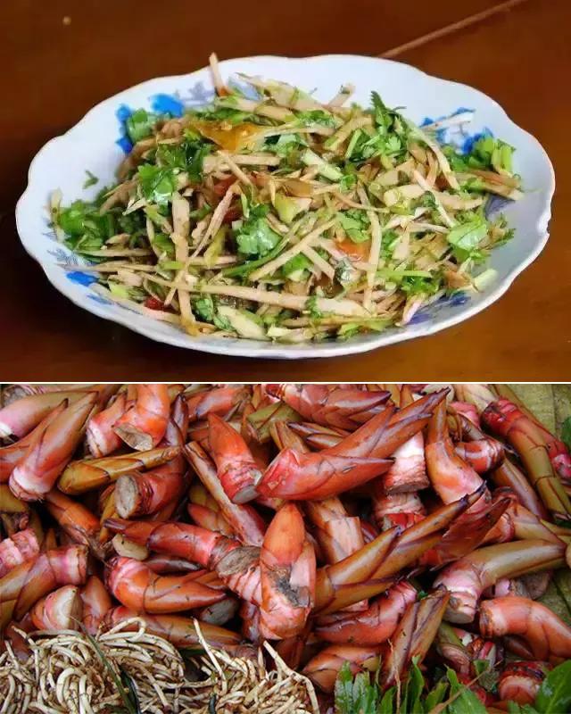 沿着百年滇越米轨走进屏边赏美景品美食醉风情