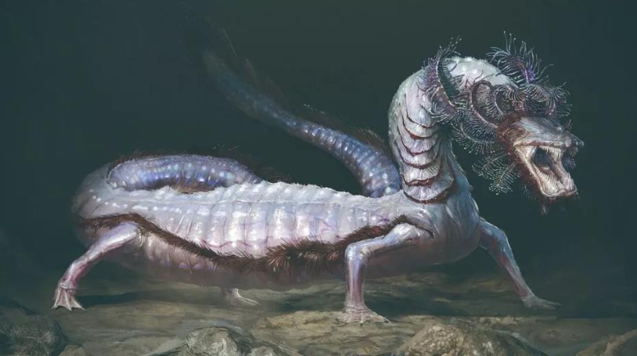 地球上最像龙的生物,10年不吃不喝不动弹,寿命却长达百年