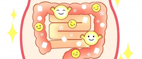 的调节肠道群群的平衡度,这是造成宝宝肠道吸收能力差的重要原因之一