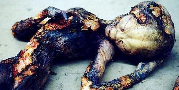 飞碟坠落在郊区,联合调查组发现14具"尸体"