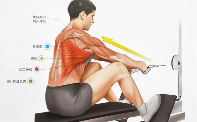 9个全背训练动作,瞄准背肌每一块肌肉