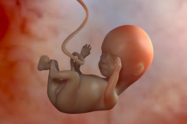 胎儿发育偏小如何应对?4个原因了解一下,多从饮食方面下功夫