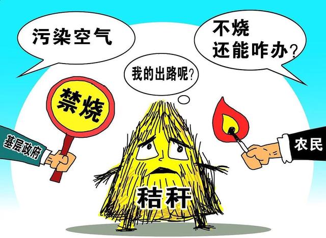 乡下禁止焚烧秸秆,农民看法不一,焚烧秸秆有哪些危害被?