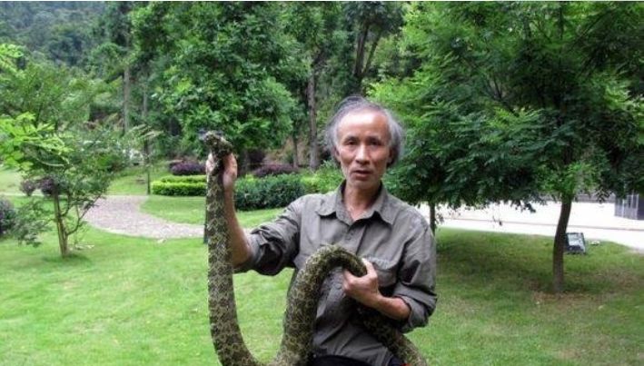 地球上最贵的毒蛇,一条可抵上海几套房|莽山|陈远辉|烙铁头_新浪新闻