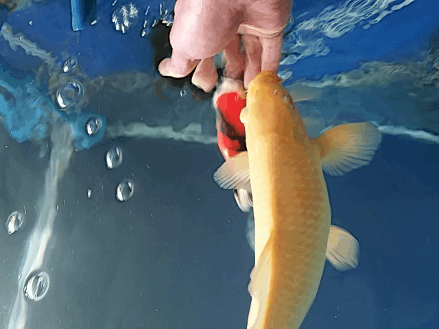 640_480gif 动态图 动图