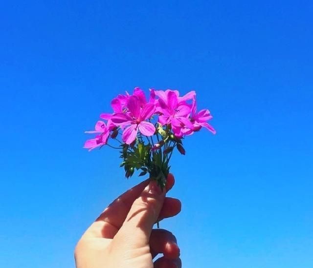 正能量励志阳光早安心语积极向上激励人心