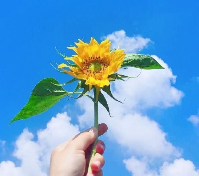 正能量励志阳光早安心语,积极向上,激励人心!