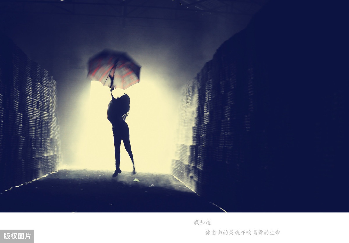 你的长相,就是你灵魂的模样!深度好文