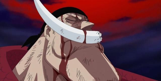 海贼王顶上战争时白胡子为何只集结自己的势力却不找外援