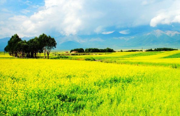 在四月上旬4属相心想事成贵人前来帮助发财路四通八达