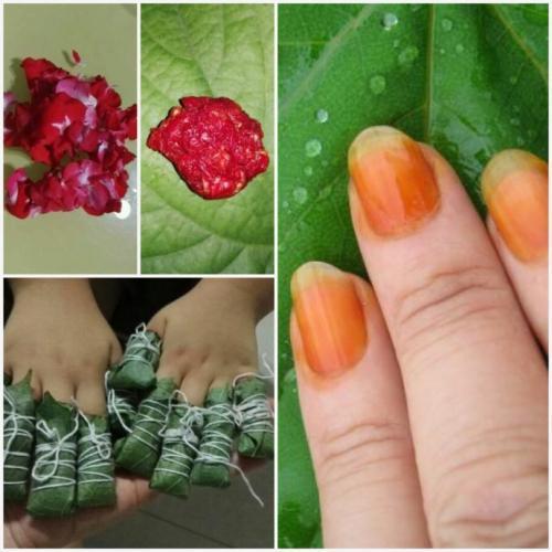 凤仙花可以涂指甲可你知道怎么做吗明矾万万不可少