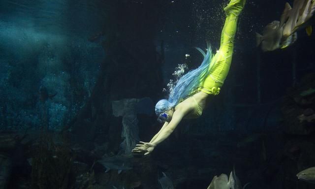 scp-327美人鱼,居住于深海,但是被轮船砸晕捕获