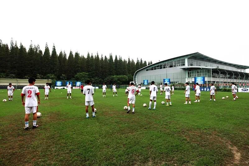 根宝基地20年记十年磨一剑不敢试锋芒再磨十年剑泰山不可挡