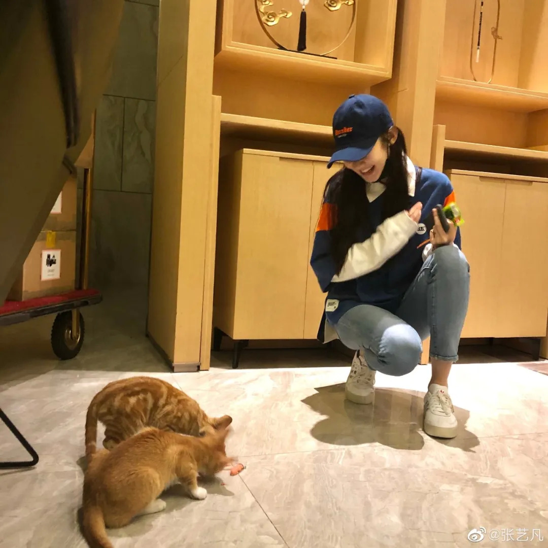 做朋友做女儿做团宠,我想拥有张艺凡同款人生