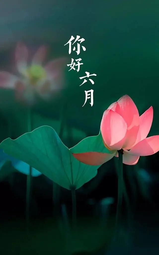 6月你好卡通海报图片大全,五月再见六月你好配图