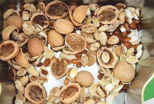 吃剩的坚果壳如何处理好?3步简单操作,废物,垃圾变成养花宝