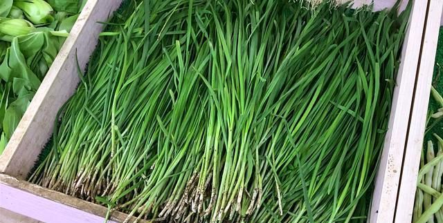 吃不完的韭菜,切记别直接放冰箱!菜农教我土方法