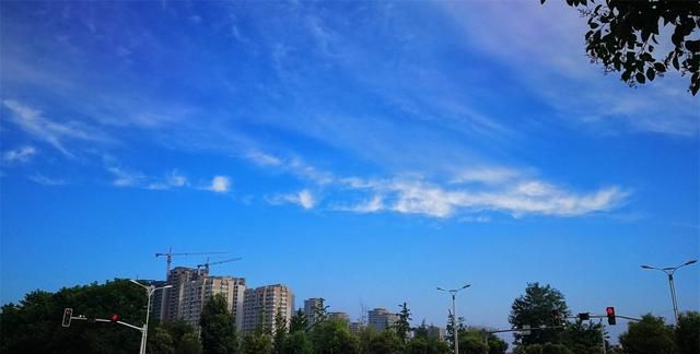 山东莱芜2020经济gdp_经受疫情考验全区经济逐月向好(2)