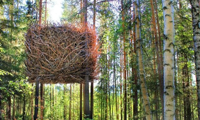 全球10大造型奇特树屋盘点你想住进哪个