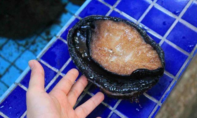 第1次吃鲍鱼,服务员询问要几头,网友:最丢脸的一次经历