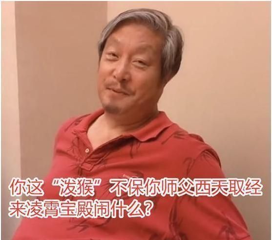 如今,看到70岁的贾石头和65岁的王卫国相聚,再次在荧屏上为网友们带来