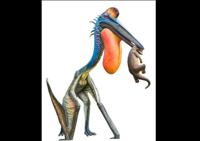 悬崖上发现史前巨大翼龙化石,翼展至少6米,拥有巨大长嘴