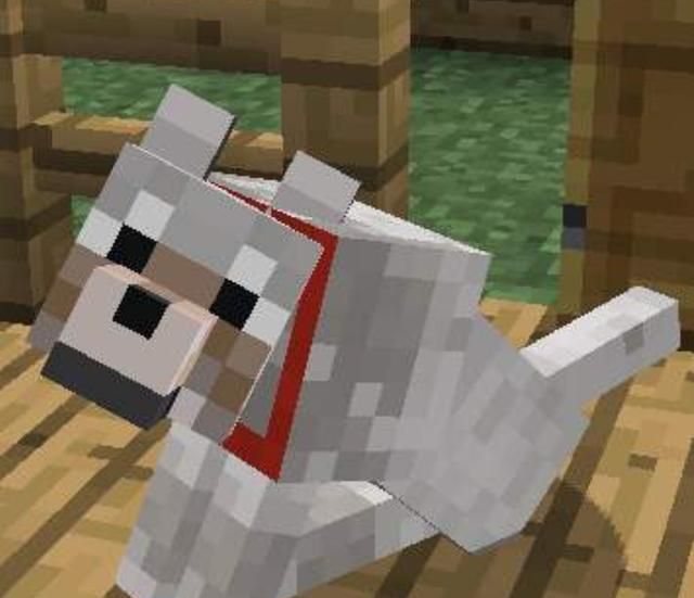 &《迷你世界》,生物相似是"抄袭借鉴"还是巧合|迷你世界|生物|狼_新浪