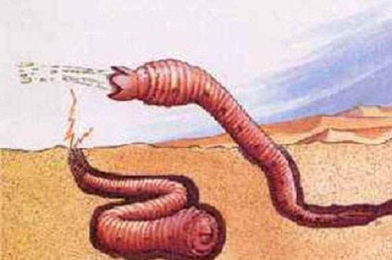 由此可见,地球上没有生物完全具备蒙古死亡蠕虫的全部特征,其客观存在