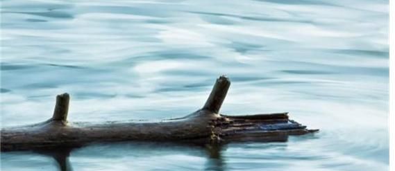 在水面上是因为浮力的作用,就像是木头尽管在外力作用下完全没入水中