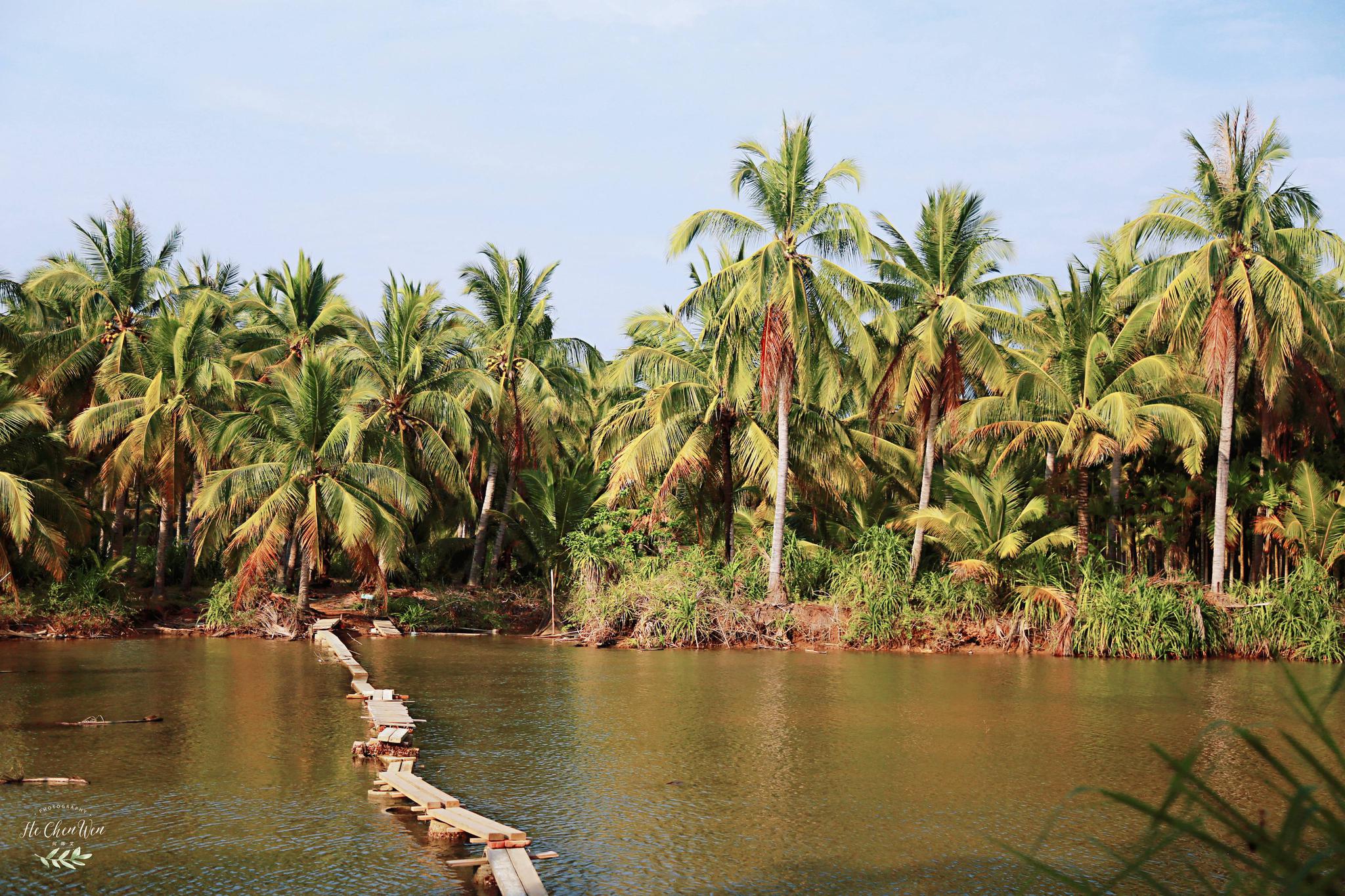三亚小众秘境,椰林郁郁葱葱,免费开放,却鲜有人知|椰林|椰子洲岛|三亚