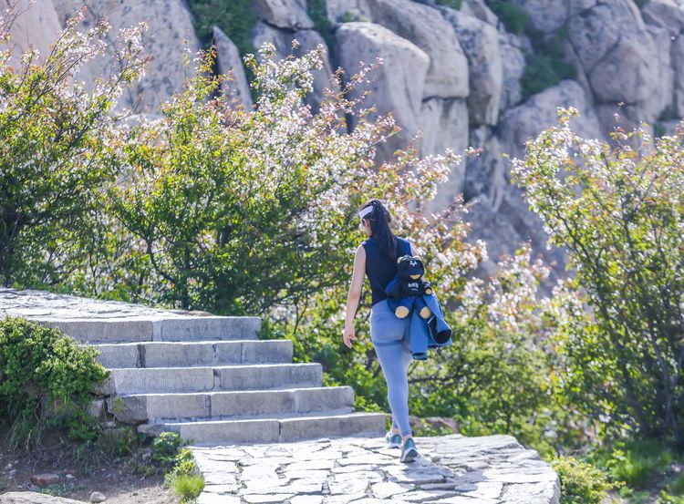 五月泰山美如画!岱顶花开成海,令人迷醉!吸引连续两周末去爬山