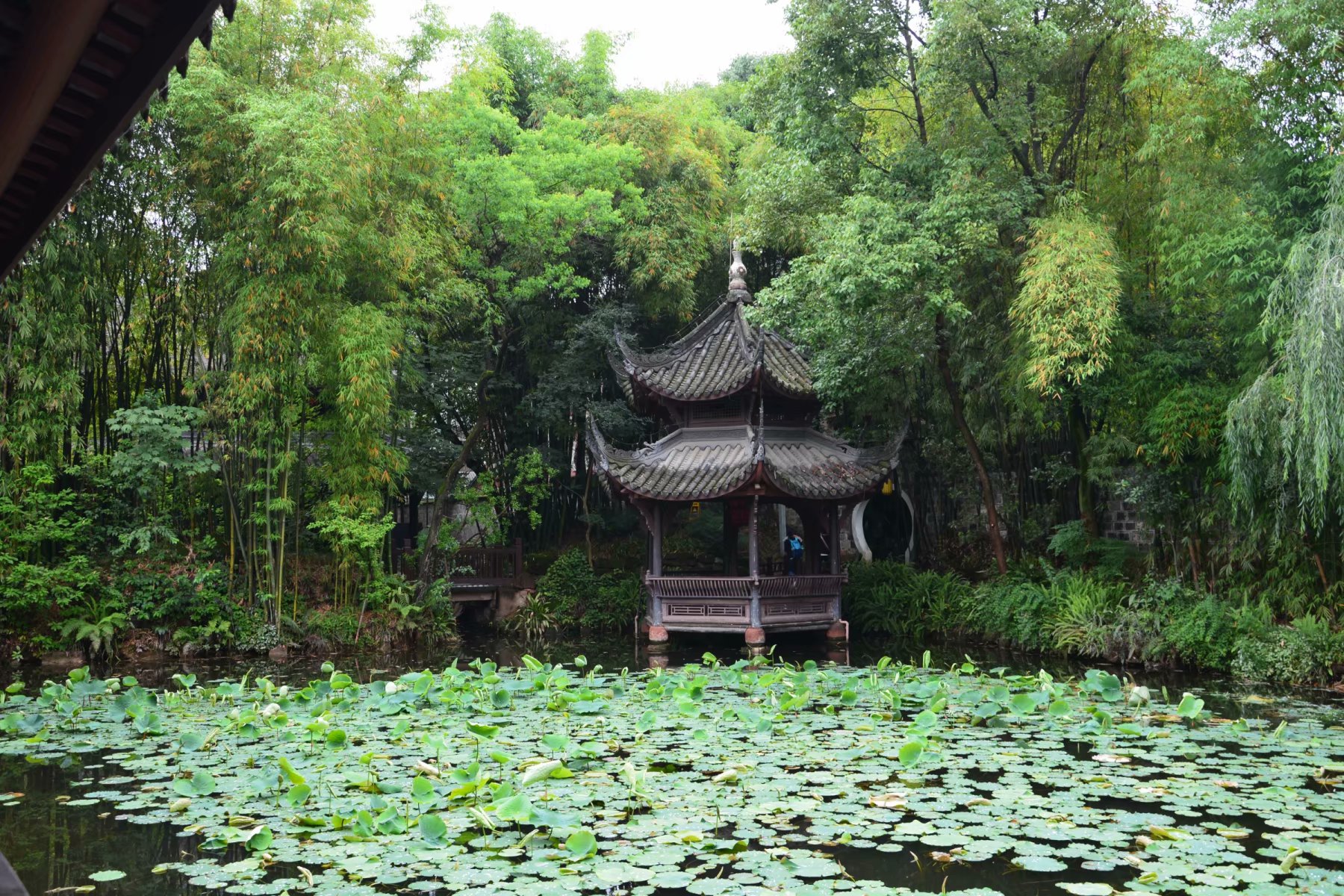 藏在四川的一处古朴园林,是3位古代大文豪的故居,常被游客忽视
